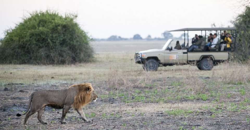 Victoria Falls & Chobe National Park 4 D/ 3 N Package - Dk Tours & Safaris - Zimbabwe - Image 9