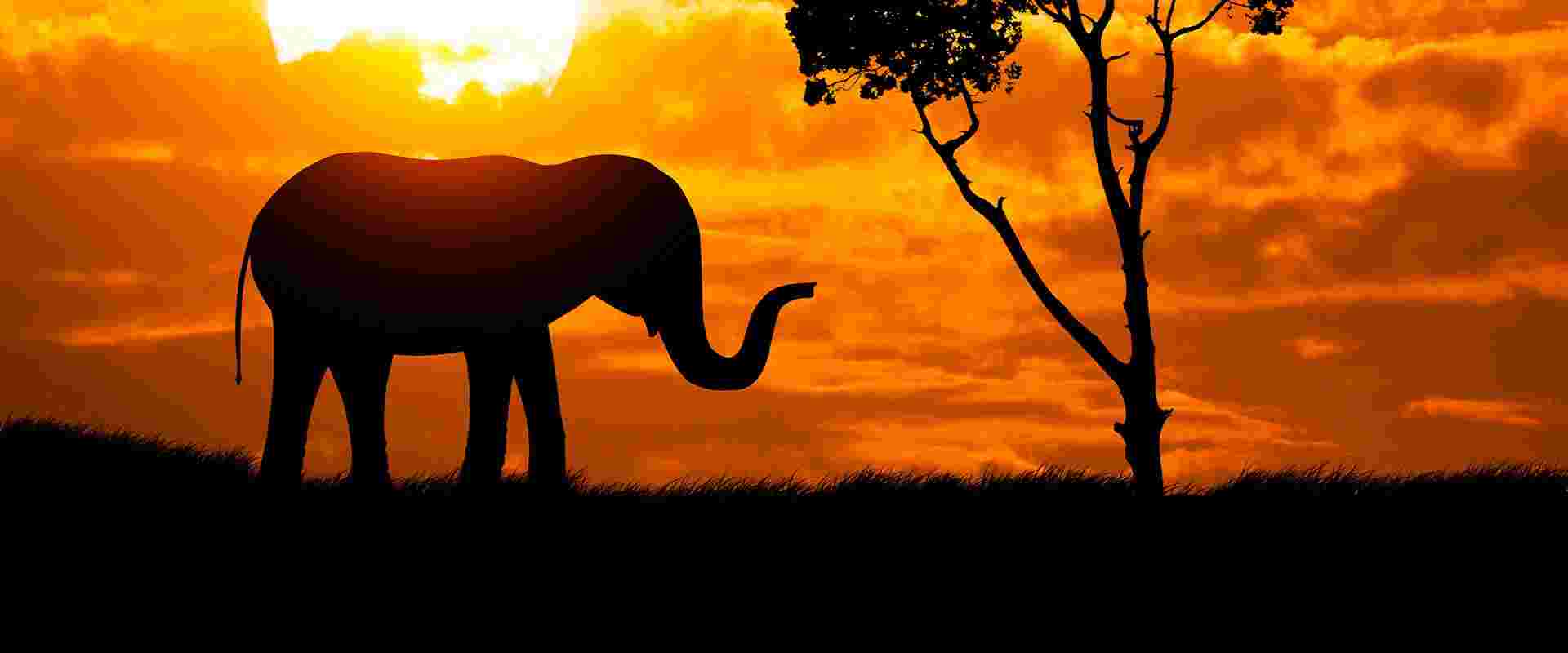 Victoria Falls & East Africa Adventure