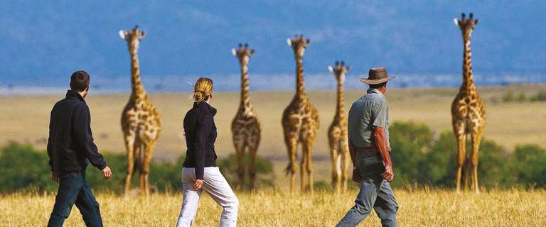 Victoria Falls & Kenyan Discovery