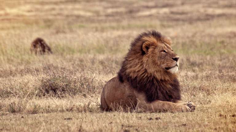 Victoria Falls & Serengeti Overland: Lakes & Landos - 20 days