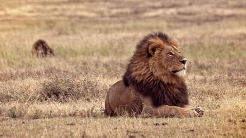 Victoria Falls & Serengeti Overland: Lakes & Landos - 20 Days