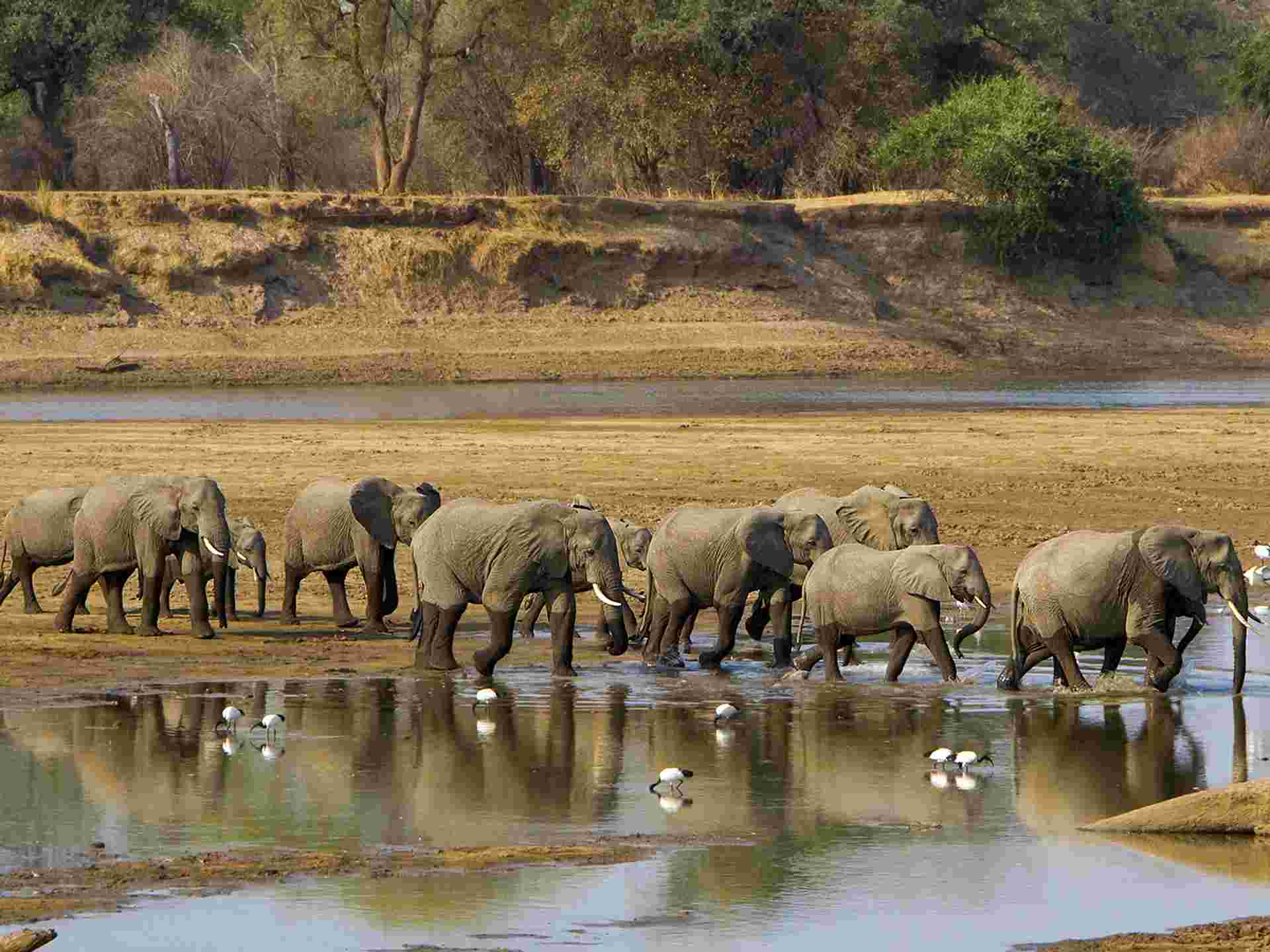 Victoria Falls, Kruger & Cape Town - 11 days