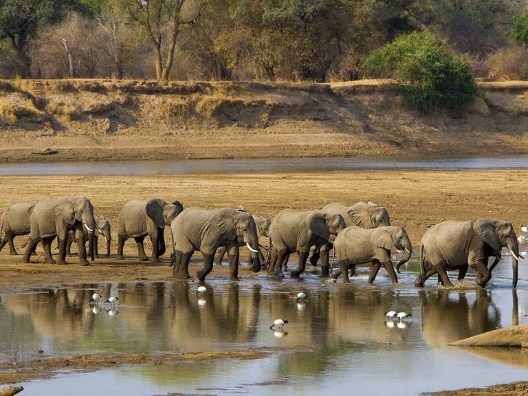 Victoria Falls, Kruger & Cape Town - 11 days trip - alternative tour available