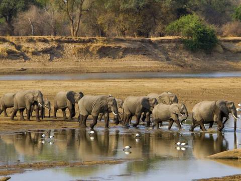 Victoria Falls, Kruger & Cape Town - 11 Days - June 2026