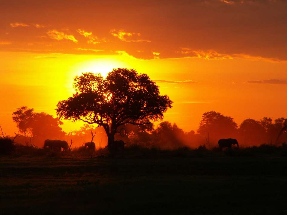 Victoria Falls, Kruger & Cape Town - 11 days - On The Go Tours - South Africa - Image 5