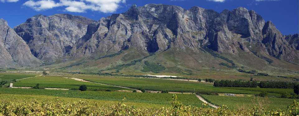Victoria Falls, Kruger & Cape Town - 11 days - On The Go Tours - South Africa - Image 8