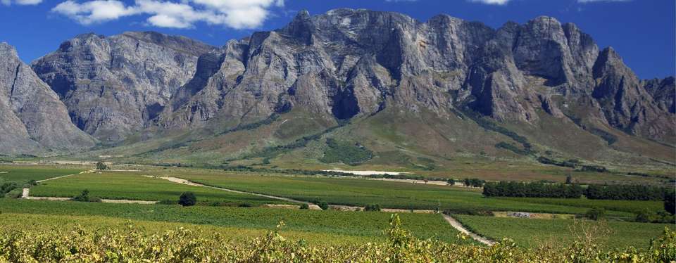 Victoria Falls, Kruger & Cape Town - 11 days - On The Go Tours - South Africa - Image 8