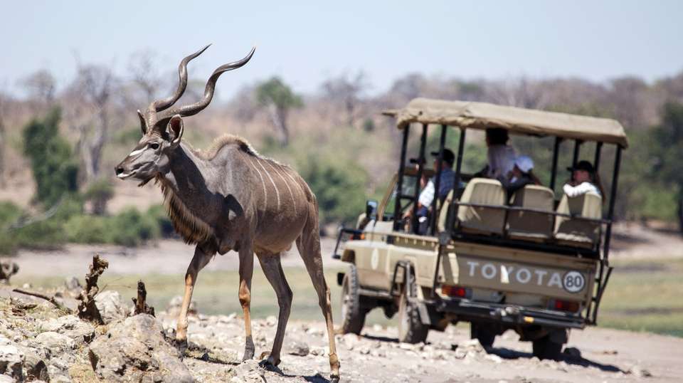 Victoria Falls & Okavango Delta: Fly-in Safari - Dk Tours & Safaris - Zimbabwe - Image 3