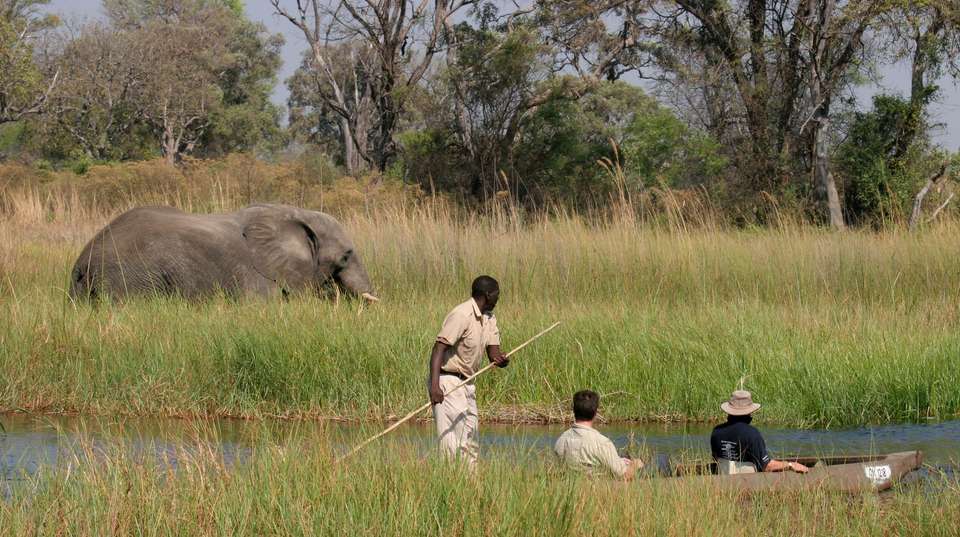 Victoria Falls & Okavango Delta: Fly-in Safari - Dk Tours & Safaris - Zimbabwe - Image 4