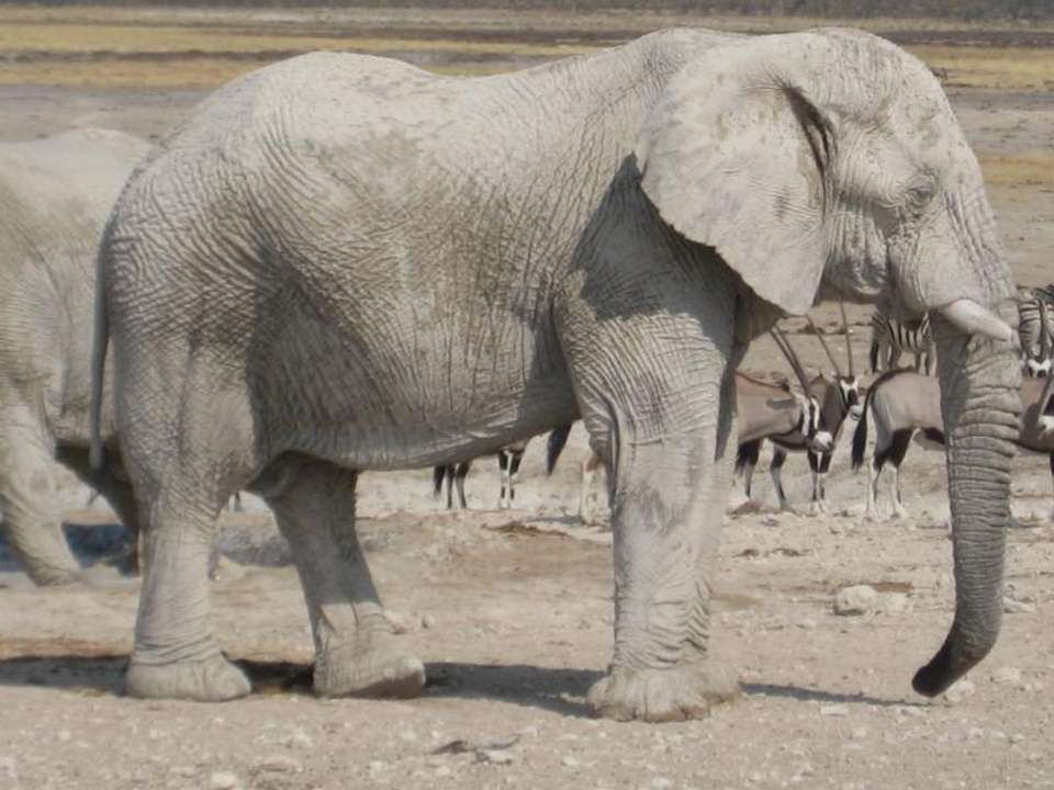 Victoria Falls To Cape Town (22 Days) - Oasis Overland - Zimbabwe - Image 3
