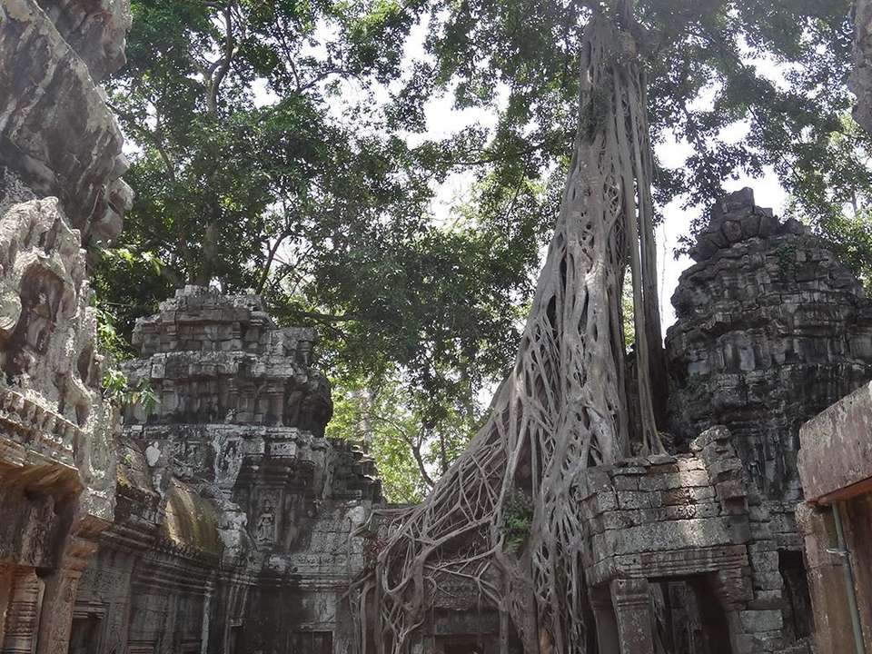 Vietnam & Cambodia Experience 8D/7N - Bamba - Vietnam - Image 3