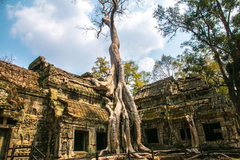 Vietnam & Cambodia Highlights - Exodus Adventure Travels - Vietnam - Image 16