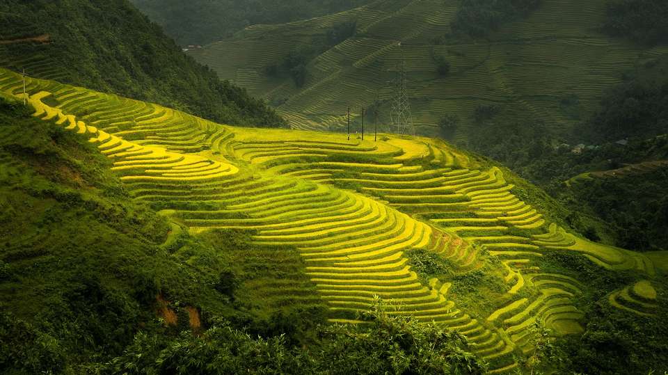 The Best of Vietnam & Thailand in 14 Days - Realistic Asia - Vietnam