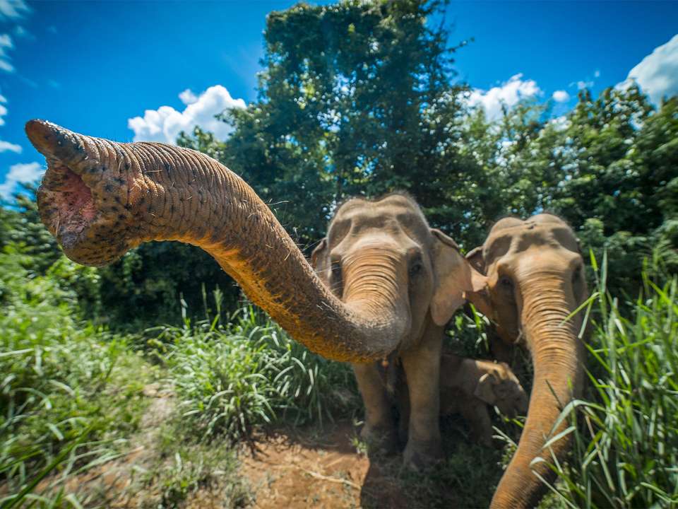 Vietnam & Thailand Refined Journey - 11 days - On The Go Tours - Vietnam - Image 8
