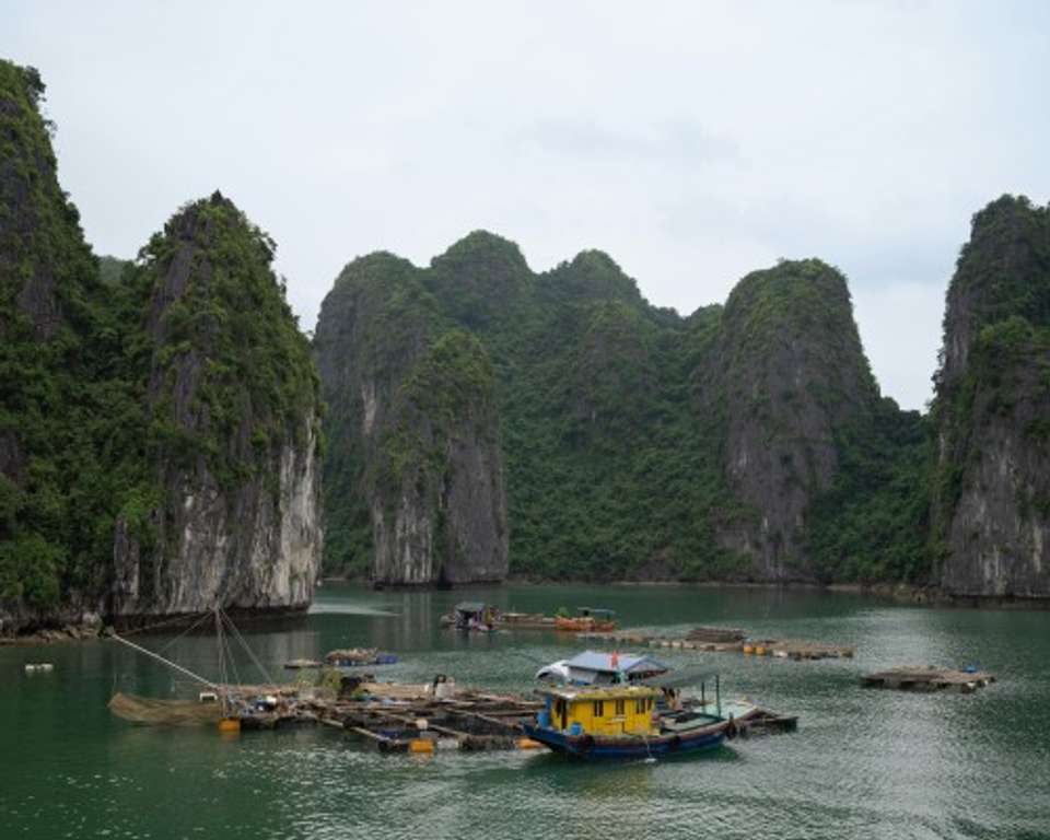 Image 20 of 22