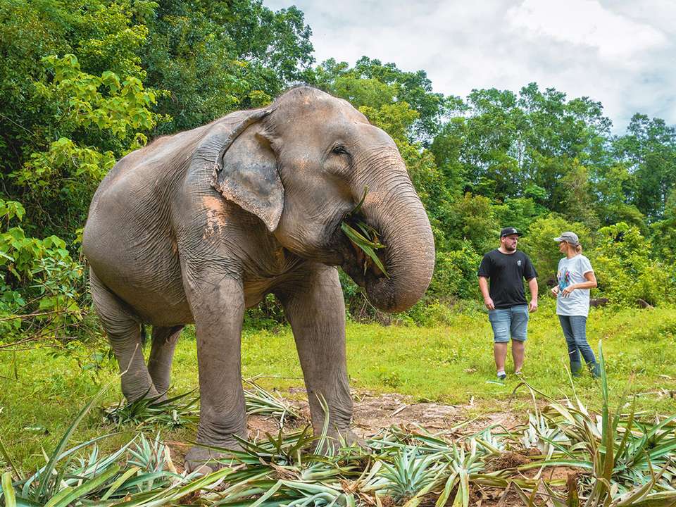 Vietnam, Cambodia & Thailand Highlights - 10 days - On The Go Tours - Vietnam - Image 9
