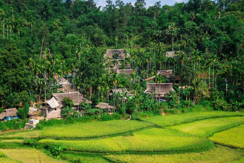 Vietnam Discovery - Intrepid Travel - Vietnam - Image 3