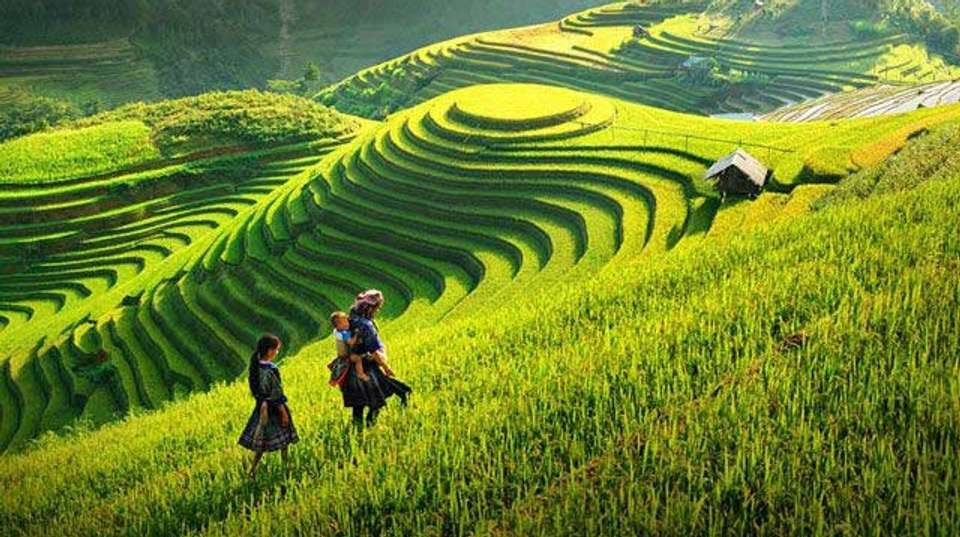 Vietnam Discovery in 14 Days ( Private Tour ) - undefined - Image 6