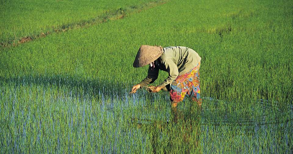 Vietnam Explorer - Explore - Vietnam - Image 6