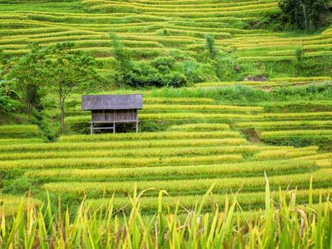 Hanoi Cultural, Religious And Historic Sites Tour: Vietnam Explorer For Teenagers - 12 Days
