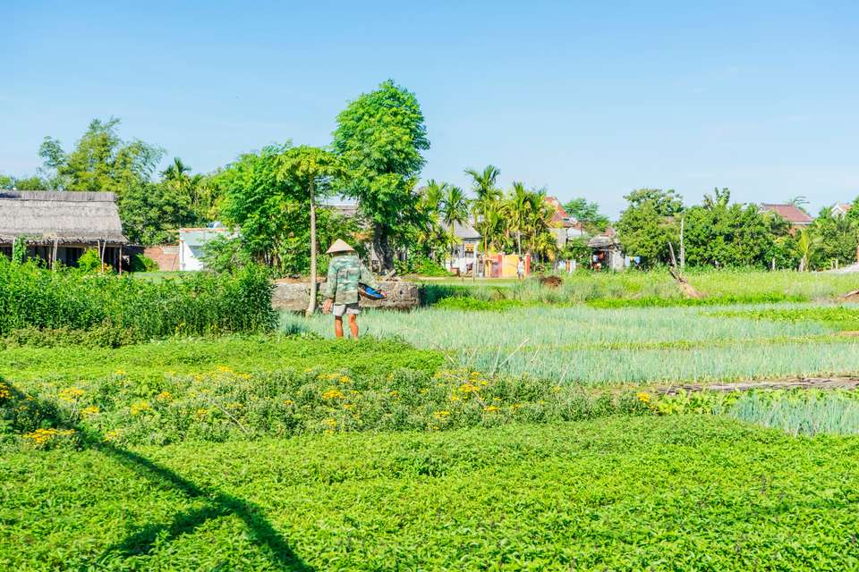 Vietnam Highlights - undefined - Image 15