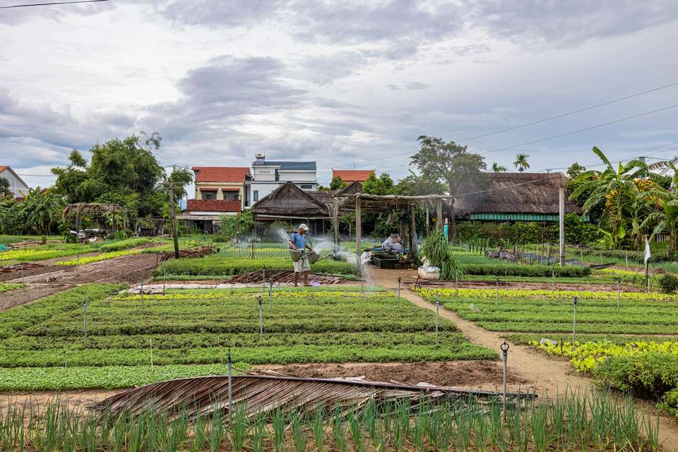 Vietnam Highlights - undefined - Image 6