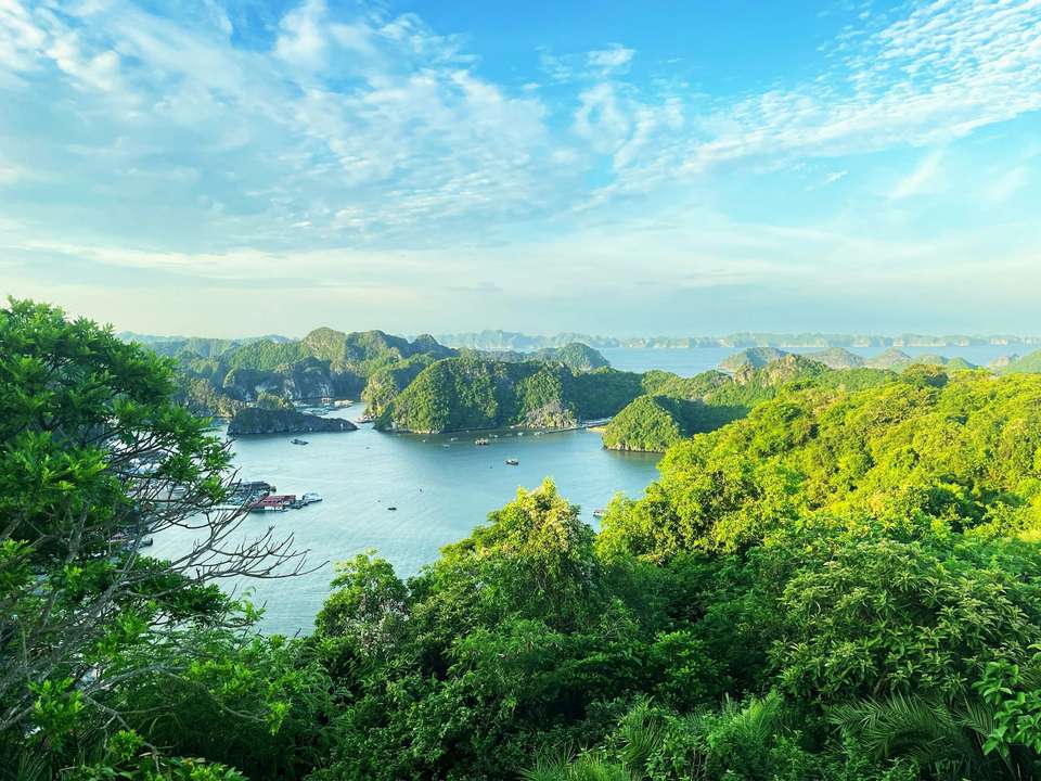 Vietnam Luxury Tour - Tweet World Travel - Vietnam - Image 6