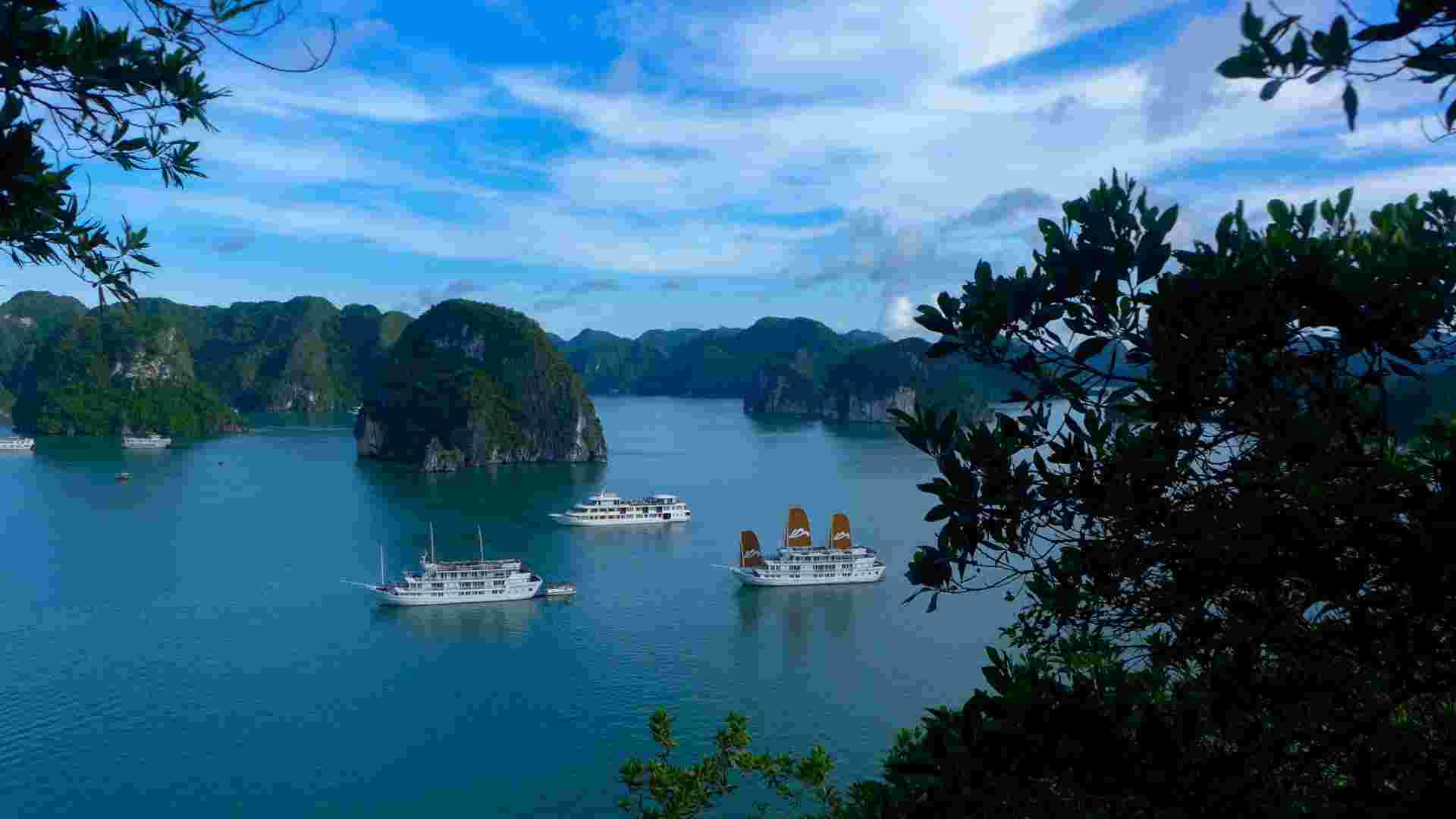 VIETNAM NORTHERN HIGHLIGHTS