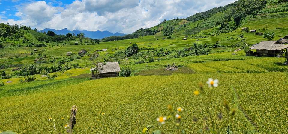 VIETNAM NORTHERN HIGHLIGHTS - Topas Travel - Vietnam