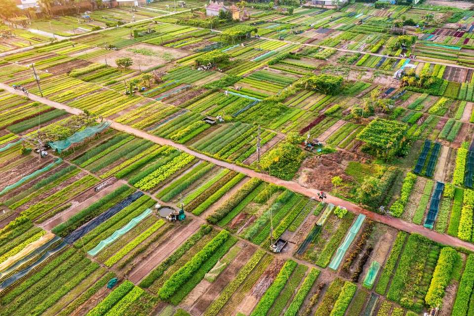 Vietnam Premium Family Holiday - Intrepid Travel - Vietnam - Image 10