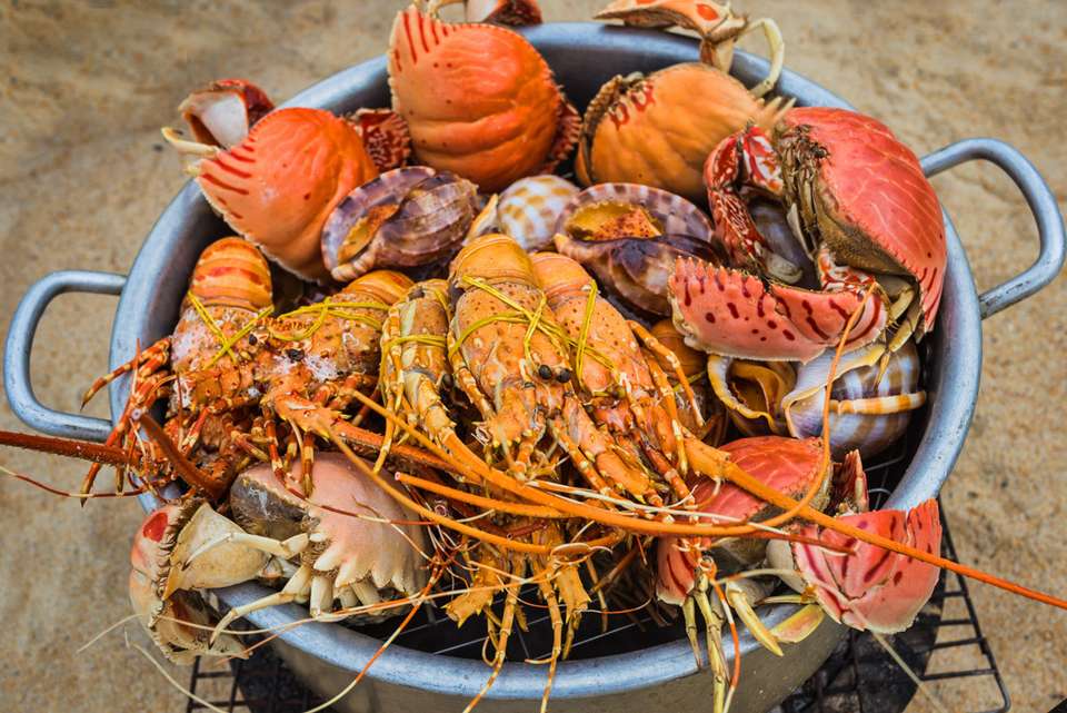 Vietnam Real Food Adventure - Intrepid Travel - Vietnam - Image 15