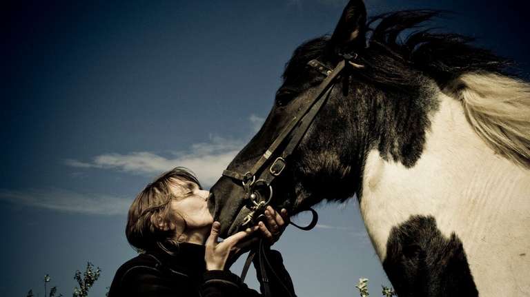 Viking Horse and Golden Circle Tour trip - alternative tour available