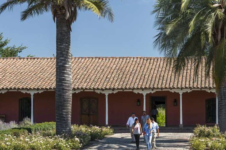 Santa Rita Vineyard from Santiago trip - alternative tour available