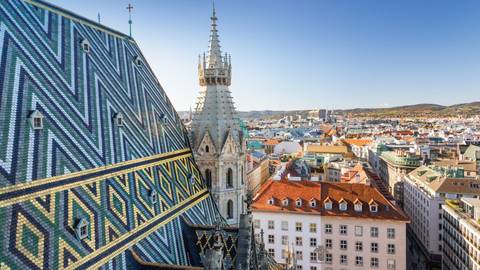 Vineyards & Palaces Along The Danube (2028)