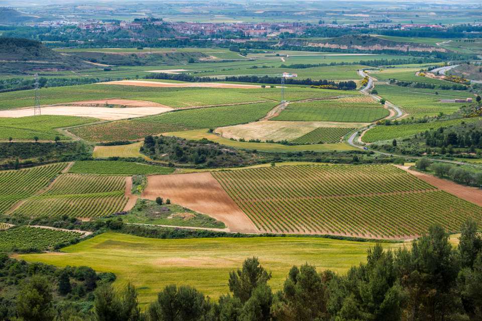 Vineyards of La Rioja Cycling - Exodus Adventure Travels - Spain - Image 9