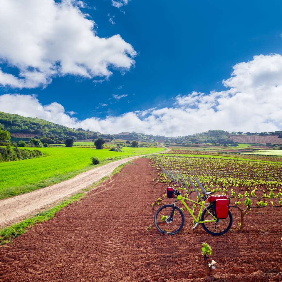Vineyards of La Rioja Cycling - Exodus Adventure Travels - Spain - Image 12