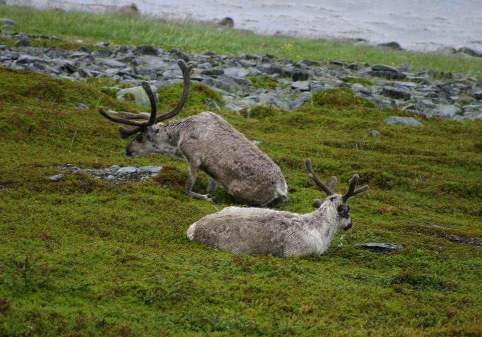 Vision of Norwegian Fjords in Winter - Indus Travels - Norway - Image 12