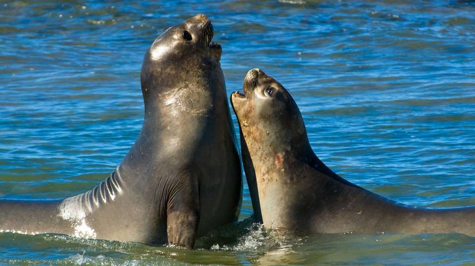 Visiting Patagonia 12 nights - Ripioturismo - Argentina - Image 5