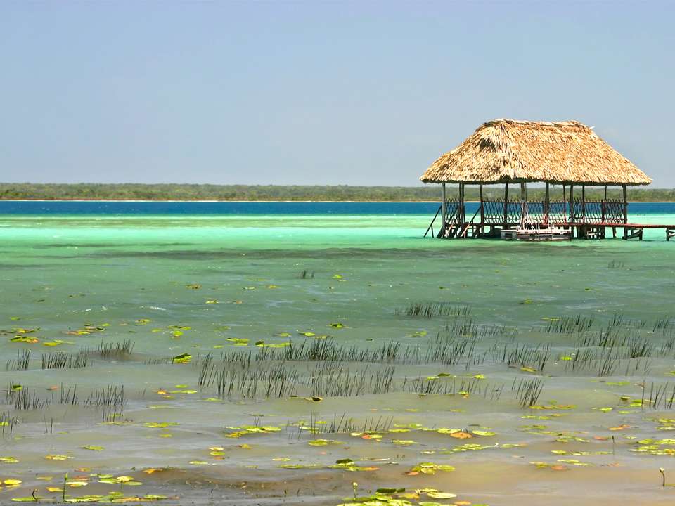 Viva Mexico: Ancient Ruins & the Mayan Riviera - G Adventures - Mexico - Image 8
