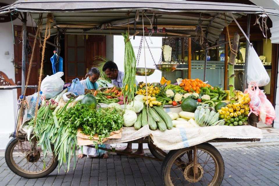 Vivacious Sri Lanka, Private Tour - Destination Services - Sri Lanka - Image 4