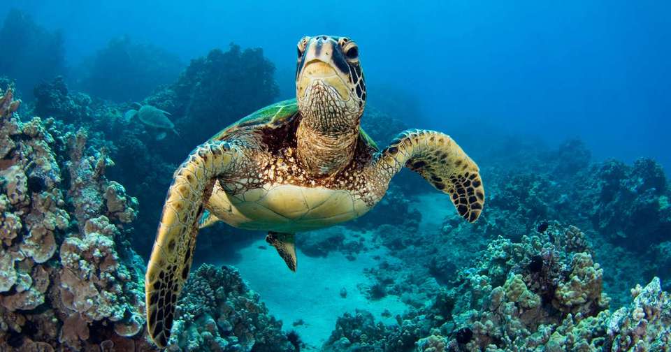 Volcanoes and Galapagos - Explore - Ecuador - Image 20