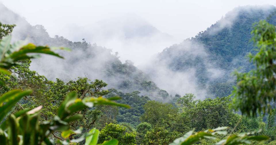 Volcanoes and Galapagos - Explore - Ecuador - Image 19