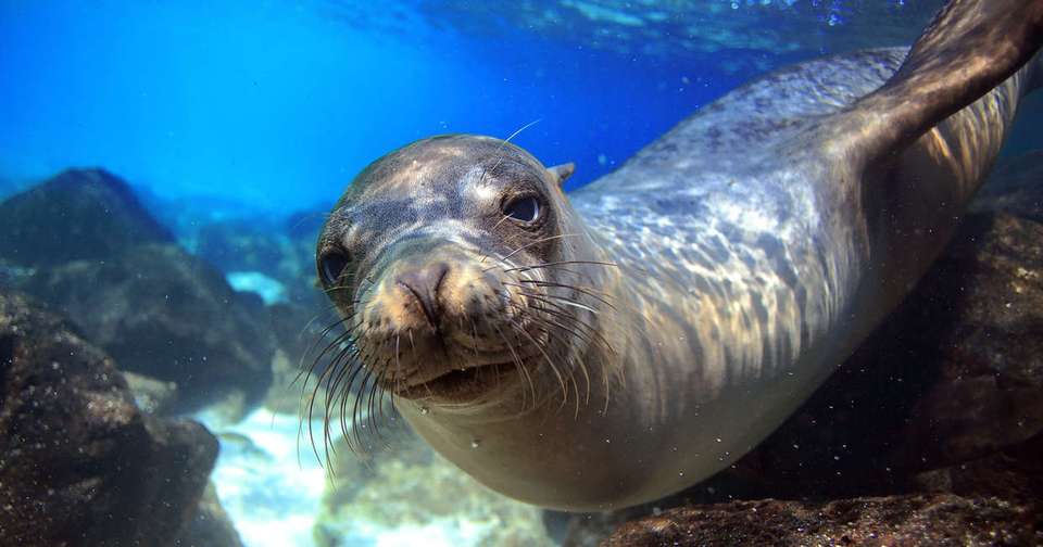 Volcanoes and Galapagos - Explore - Ecuador - Image 14