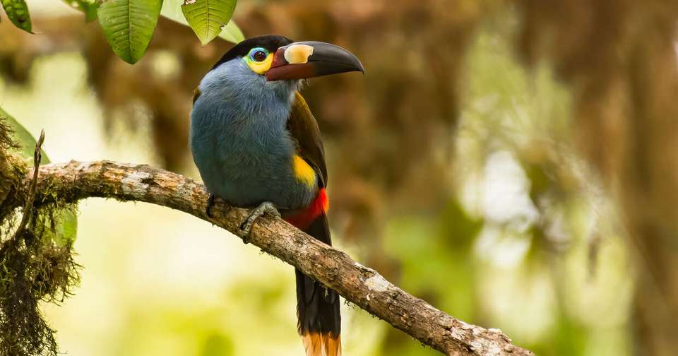 Volcanoes and Galapagos - Explore - Ecuador - Image 11