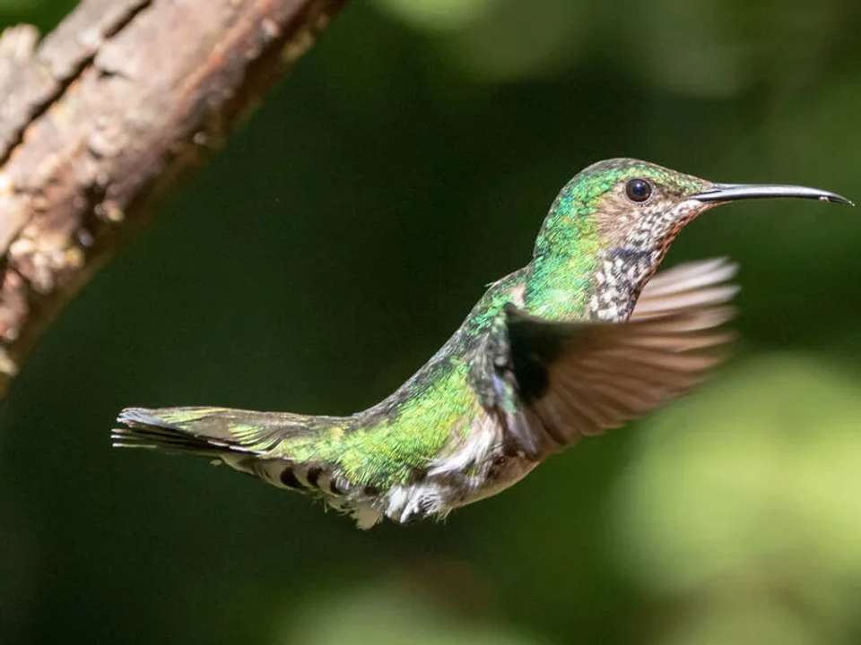 Image 12 of 23