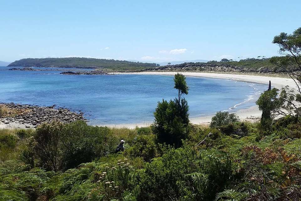 Walk Bruny Island & Tasmania's South West - Intrepid Travel - Australia - Image 3