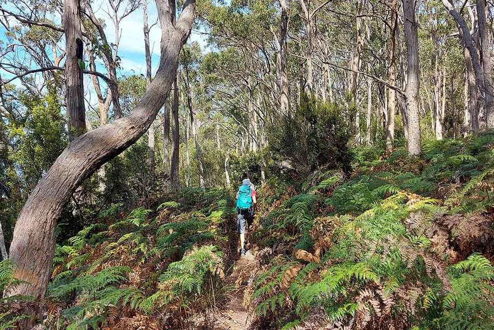 Walk Bruny Island & Tasmania's South West - Intrepid Travel - Australia - Image 7