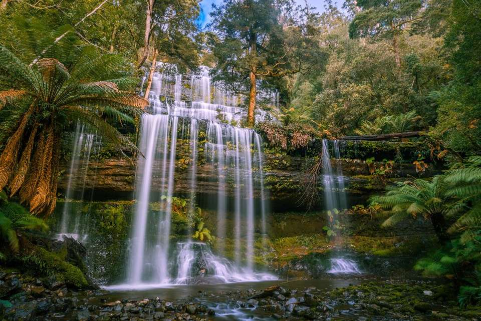 Walk Bruny Island & Tasmania's South West - Intrepid Travel - Australia - Image 8