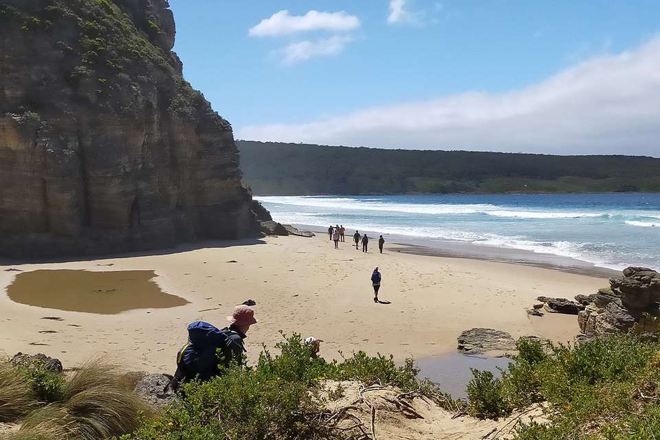 Walk Bruny Island & Tasmania's South West - Intrepid Travel - Australia - Image 9
