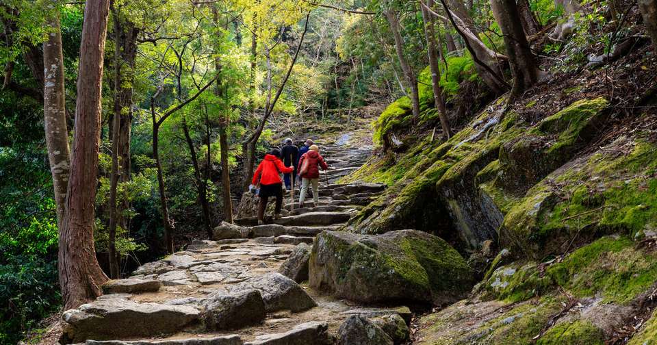 Walk Japan - Kumano Kodo Trail - Explore - Japan - Image 3